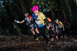 BIB: 1282, 
                            <button type="button" onclick="openModal(19041369)" class="btn btn-primary btn-sm float-right btn-popup" data-toggle="modal" data-target=".modal-high-quality">
                        <i class="fas fa-shopping-cart"></i> Add to Cart
                    </button>
                                            <button type="button" onclick="isThisMe(19041369, true)" class="btn btn-success btn-sm float-right btn-popup btn-isme hidden" data-toggle="tooltip" data-placement="bottom" title="นี่คือรูปของคุณใช่ไหม คลิกที่นี่เพื่อเอาเข้าอัลบั้ม">
                        <i class="fas fa-plus"></i> Add to album
                    </button>
                    <button type="button" onclick="isThisMe(19041369, false)" class="btn btn-warning btn-sm float-right btn-popup btn-isnotme hidden">
                        <i class="fas fa-ban"></i> Remove from album
                    </button>